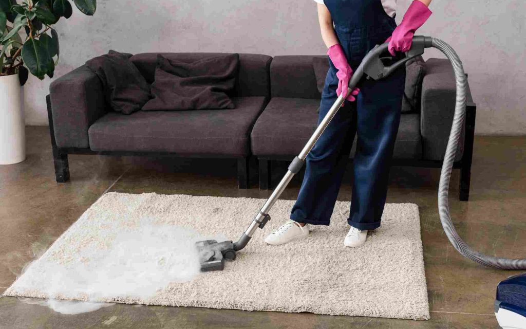 carpet-cleaner-house